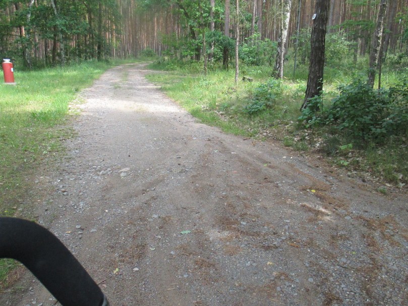 lutherweg-sachsen-anhalt