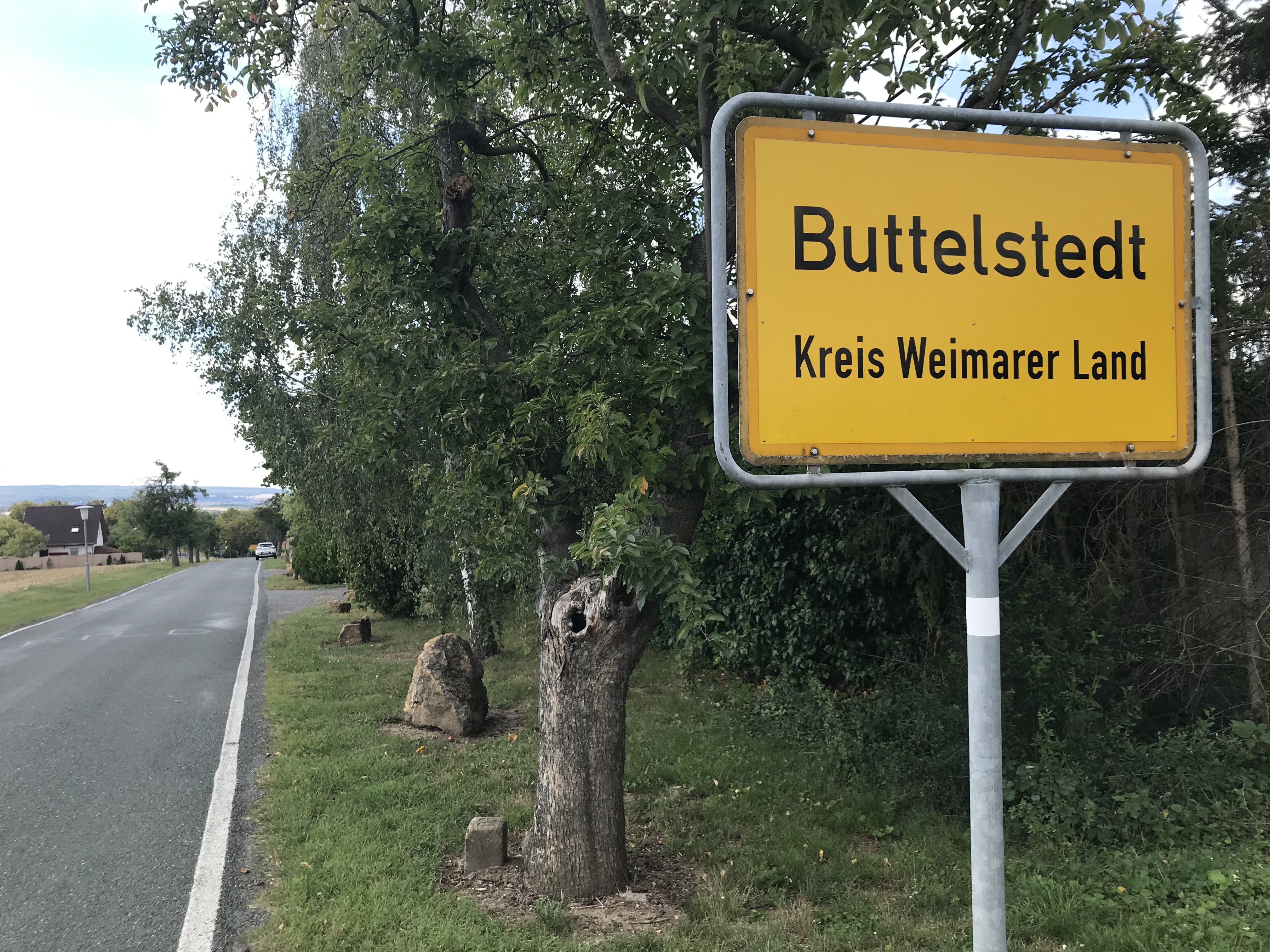 f23.7.buttelstaedt