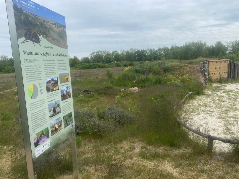 Im Naturzentrum Wanninchen gibt es Vieles zu entdecken.