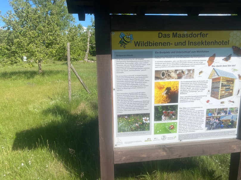 Noch sind Vandalismusschäden selten.