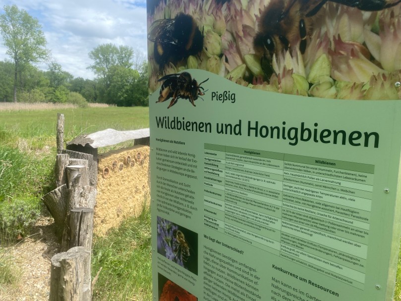 Sehr informative Tafeln helfen beim Verständnis.